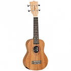 Tanglewood TWT 1