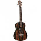 Tanglewood TWT 20