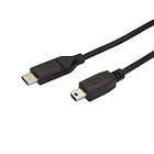 StarTech USB C - USB Mini-B 2.0 2m