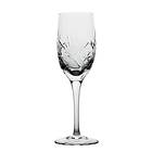 Hadeland Glassverk Finn Champagneglass 24cl