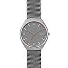 Skagen SKW6387