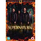 Supernatural - Säsong 12 (DVD)