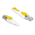 DeLock S/FTP Cat6a RJ45 - RJ45 Secure 1m