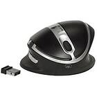 Kenson Oyster Mouse Large