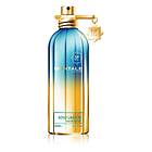 Montale Paris Aoud Lagoon edp 50ml