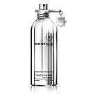 Montale Paris Fruits Of The Musk edp 100ml