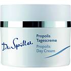 Dr. Spiller Biomimetic Vitamin A Day Cream 50ml