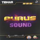 Tibhar Sinus Sound