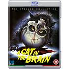 A Cat in the Brain (UK) (Blu-ray)