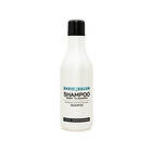 Stapiz Basic Salon Deep Cleaning Shampoo 1000ml