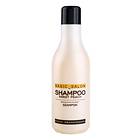 Stapiz Basic Salon Sweet Peach Shampoo 1000ml