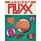 Anatomy Fluxx Kortspel