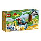 LEGO Duplo 10879 Gentle Giants Petting Zoo