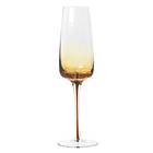 Broste Copenhagen Amber Champagne Glass 20cl