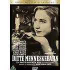 Ditte Menneskebarn (DK) (DVD)