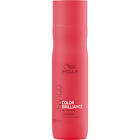 Wella Invigo Color Brilliance Color Protection Shampoo 250ml