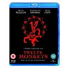 12 Monkeys (UK) (Blu-ray)
