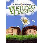 Pushing Daisies - Season 1 (US) (DVD)