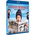 Ensam Hemma 2 (Blu-ray)