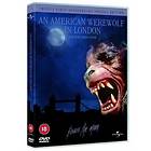 An American Werewolf In London (UK) (DVD)
