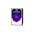 WD Purple WD101PURZ 256Mo 10To