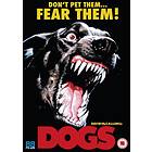 Dogs (UK) (DVD)