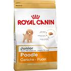 Royal Canin BHN Poodle Puppy 3kg