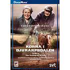 Korna I Djurarpsdalen (DVD)