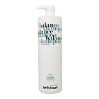 Artego Easy Care T Balance Shampoo 1000ml