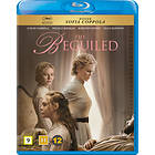 The Beguiled (2017) (Blu-ray)