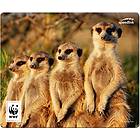 Speed-Link SL-620300 WWF5 Meerkat