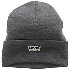 Levi's Batwing Embroidered Slouchy Beanie