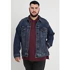Levi's Trucker Big & Tall Jacket (Men's)
