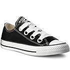 Converse Chuck Taylor All Star Big Eyelet Canvas Low Top (Unisex)