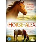 A Horse for Alex (UK) (DVD)