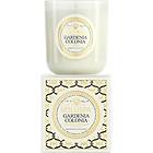 Voluspa Classic Maison Candle Gardenia Colonia