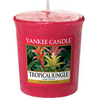 Yankee Candle Votives Tropical Jungle