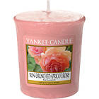 Yankee Candle Votives Sun Drenched Apricot Rose
