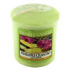 Yankee Candle Votives Pineapple Cilantro