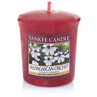 Yankee Candle Votives Madagascan Orchid