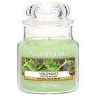 Yankee Candle Small Jar Wild Mint