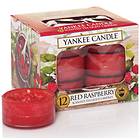 Yankee Candle Tea Red Raspberry