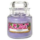 Yankee Candle Small Jar Verbena