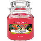 Yankee Candle Small Jar Tropical Jungle