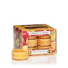 Yankee Candle Tea Mango Peach Salsa