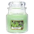 Yankee Candle Medium Jar Wild Mint