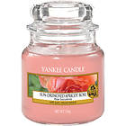 Yankee Candle Small Jar Sun Drenched Apricot Rose