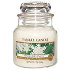 Yankee Candle Small Jar Sparkling Snow