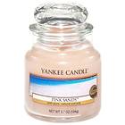 Yankee Candle Small Jar Pink Sands