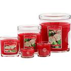Yankee Candle Small Jar Pink Dragonfruit